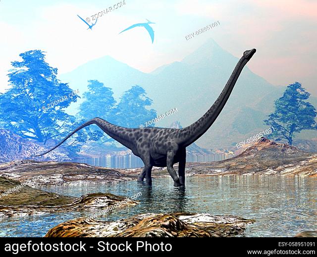 Diplodocus dinosaur walking peacefully in the water by sunset - 3D render