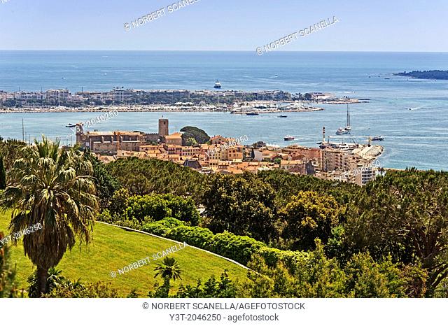 Europe, France, Alpes-Maritimes, Cannes. The old Town