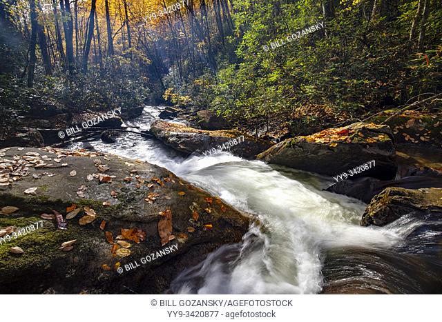 Flowing cascade on Looking Glass Creek in autumn - Pisgah National Forest, near Brevard, North Carolina, United States
