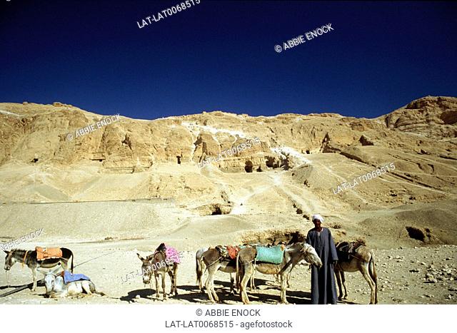 Valley of the Kings. Hills. Caves/ entrances to tombs.Path. Donkeys for hire. Man