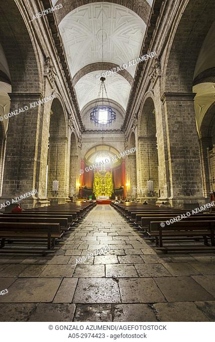 Cathedral , Valladolid, Castilla y Leon, Spain