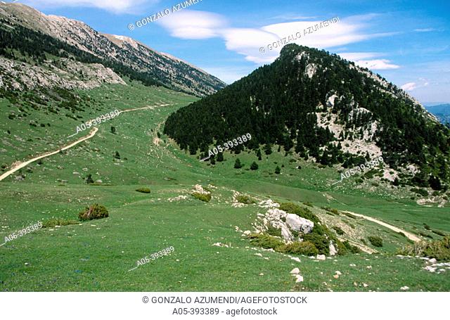 Track from El Collel to Coll de la Bauma, on the area of Comabona mountain. Sierra del Cadí. Cadí-Moixeró Natural Park. La Cerdanya. Girona Province