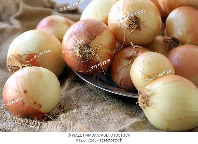 Onions in dish