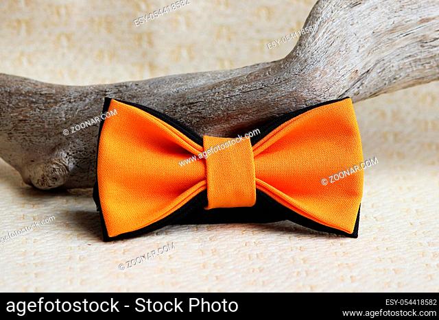Composition: orange with a black bow tie and a wooden stick curve on a beige background