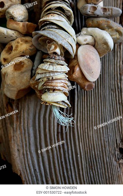Sea Shells and Stones