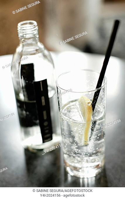 Bootle of gas water Tau and glass with lemon in a cafe of Bordeaux. Aquitaine. France. Europe