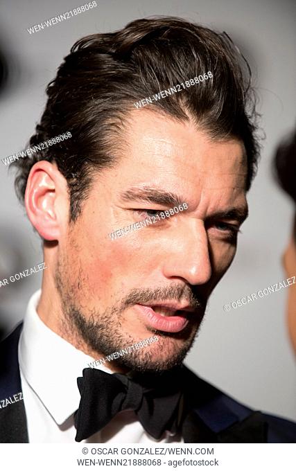 GQ Men of the Year Awards 2014 at the Palace Hotel in Madrid - Arrivals Featuring: David Gandy Where: Madrid, Spain When: 03 Nov 2014 Credit: Oscar...