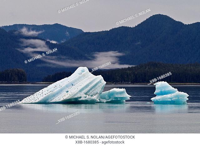 Glacial iceberg from ice calved off the South Sawyer Glacier in Tracy Arm, Southeast Alaska, USA, Pacific Ocean