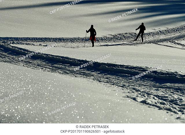 A cross-country skiers going through the Hrabeticka Meadow, near Bedrichov, Jizerske Mountains, January 19, 2016. (CTK Photo/Radek Petrasek)