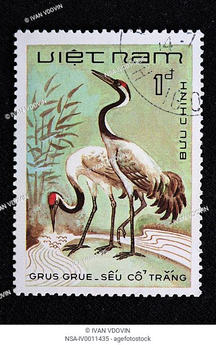 Common Crane, Eurasian Crane Grus grus, postage stamp, Vietnam