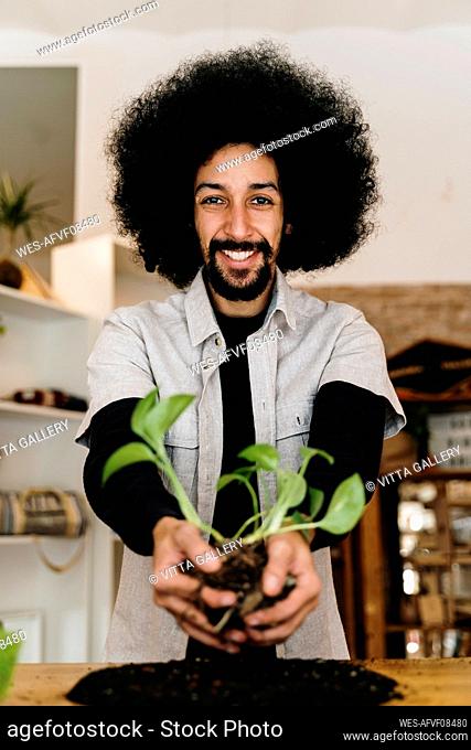Smiling man holding kokedama plant at home