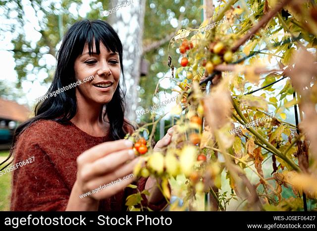 Smiling mature woman picking fruit in backyard