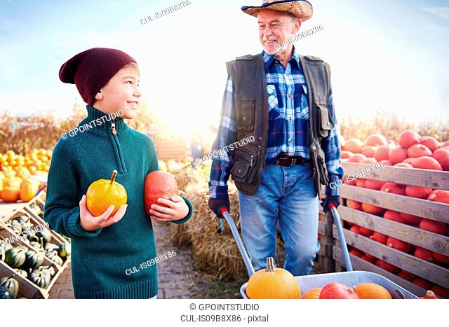 Farmer and grandson at pumpkin farm
