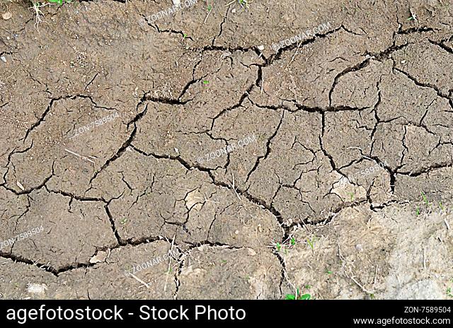 The dried-up dirt with cracks close up