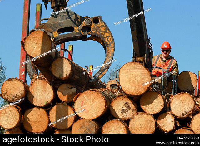 RUSSIA, KOSTROMA REGION - MAY 17, 2023: An employee of the GalichLes logging company, a subsidiary of Segezha Group, operates a timber crane in the village of...