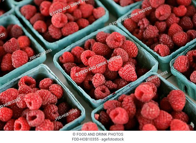 Organic Raspberries at Farmers Market