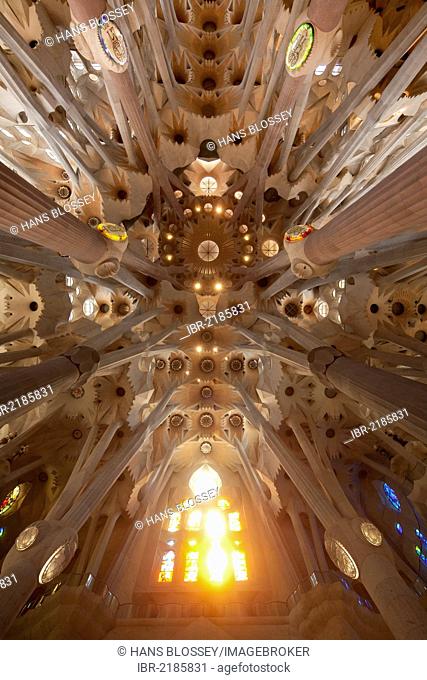 Sun-flooded glass windows, interior of Sagrada Familia, Basílica i Temple Expiatori de la Sagrada Família, Basilica and Expiatory Church of the Holy Family