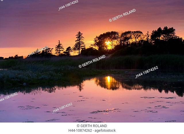 Urehoved, Denmark, island, isle, Aero, coast, wood, forest, marsh scenery, lake, sea, reflection, evening mood, sundown