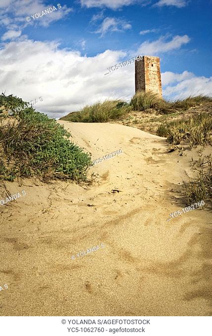 Tower and dunes, Cabopino, Costa del Sol. Marbella, Malaga province, Andalusia, Spain