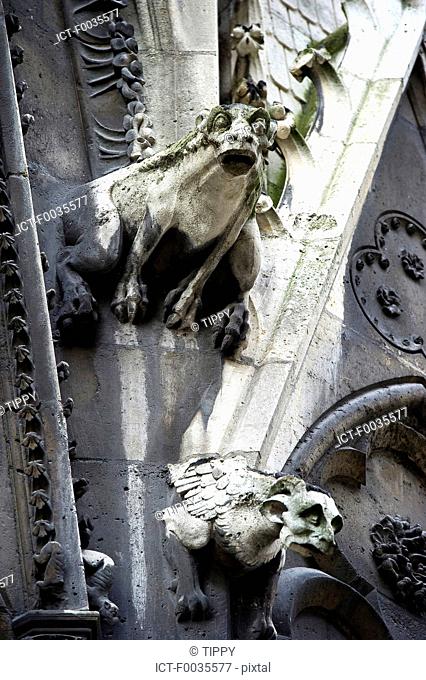 France, Paris 75, Ile de France, gargoyles of Notre Dame