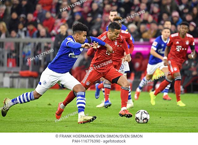 Thiago ALCANTARA (FCB), action, duels versus Weston MC KENNIE (FC Schalke 04). Football 1. Bundesliga, 21.matchday, matchday21