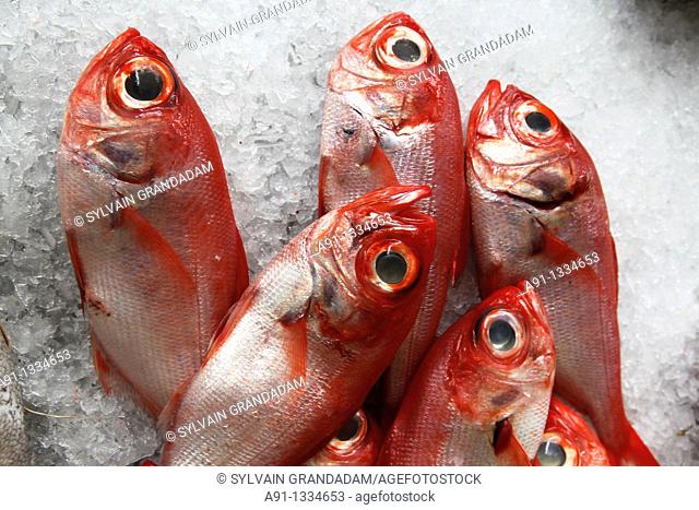 Portugal, Madeira, Funchal, the fish market