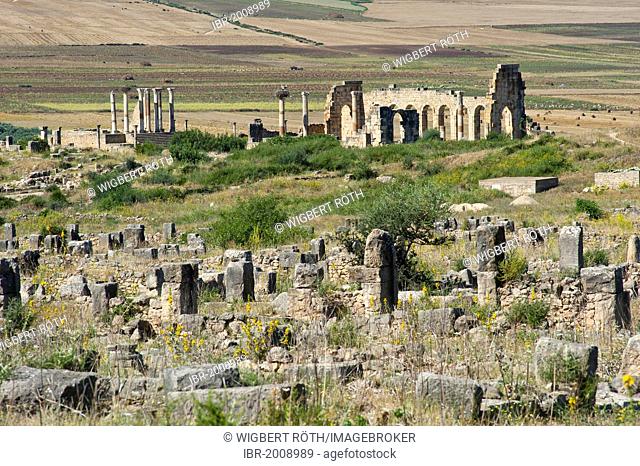 Roman ruins with the basilica, ancient city of Volubilis, UNESCO World Heritage Site, Morocco, North Africa, Africa