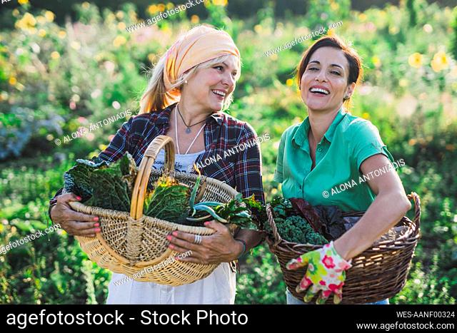 Happy gardeners with basket of fresh vegetables at field