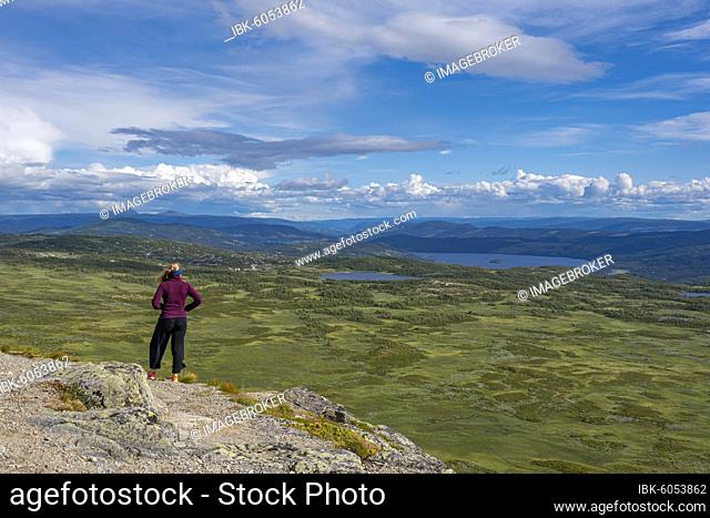 Hiker looking over tundra, tundra, hilly landscape with lakes, Øystre Slidre, Jotunheimen National Park, Norwege