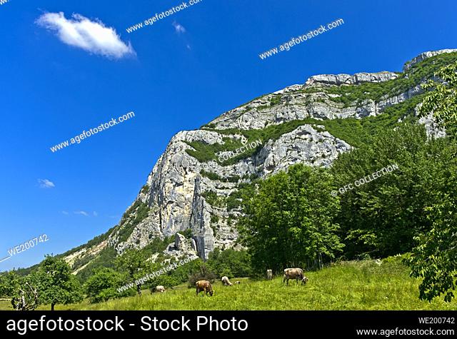 The Salève massif, Collonges-sous-Salève, Haute-Savoie, France