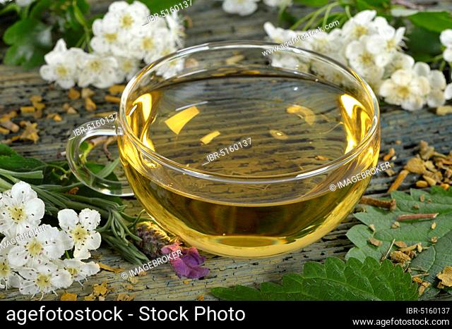 Cardiovascular tea, mistletoe leaves, hawthorn leaves, stinging nettle, valerian, hibiscus flower, lavender (Viscum album) (Crataegus monogyna) (Common...
