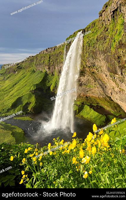 Waterfall Seljalandsfoss (66 m). Iceland
