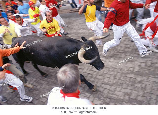 'Encierro' running of the bulls, San Fermin festival. Pamplona. Navarre, Spain