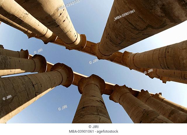 Egypt, Luxor, temples, columns, from below