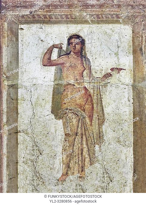 Roman erotic fresco painting of Hermaphrodite from Heraculeum, 1-50 AD , inv no 9224 , Secret Museum or Secret Cabinet, Naples National Archaeological Museum