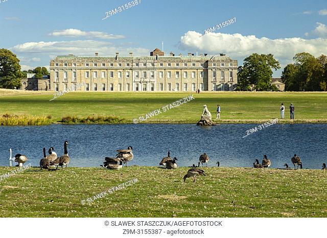 Late summer afternoon in Petworth Park, West Sussex, England