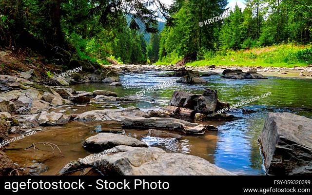 Closeup of wet rocks and calm flowing water on the beautiful mountain river flowing through pine forest