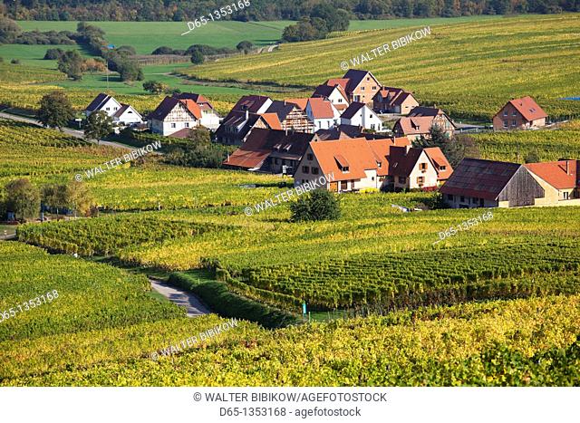 France, Bas-Rhin, Alsace Region, Alasatian Wine Route, Blienschwiller, town buildings and vineyards