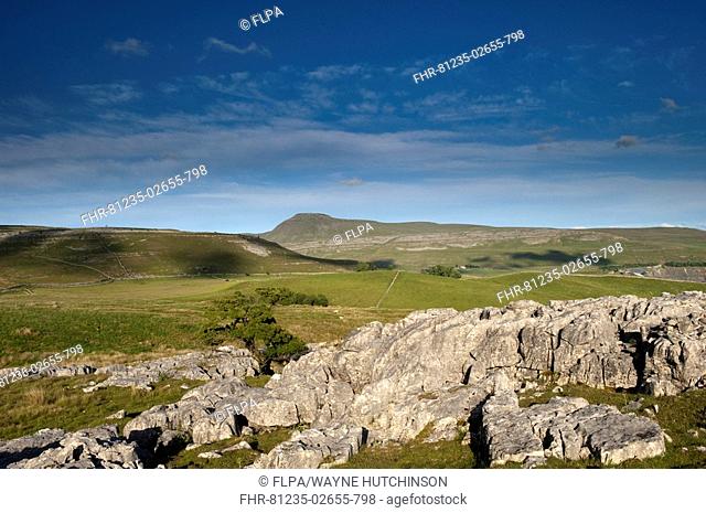 View of limestone pavement and upland habitat, Ingleborough from Thornton-le-Dale, Yorkshire Dales, North Yorkshire, England, july