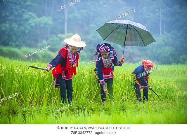 Women from the Red Dao minority in a village near Ha Giang in Vietnam