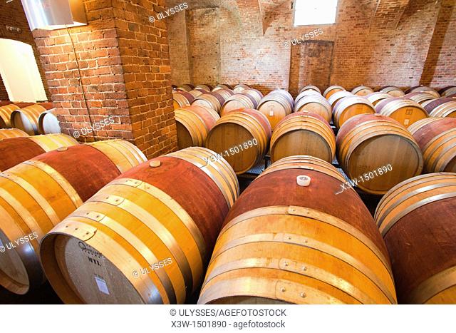 wineries cerreto of st cassiano, alba, cuneo, langhe, piemonte, italy, europe