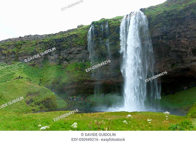 Seljalandsfoss falls in summer season view, Iceland. Icelandic landscape