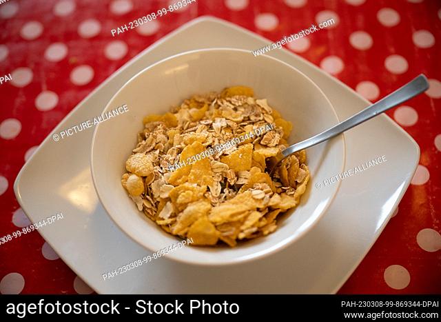 ILLUSTRATION - 06 March 2023, Hesse, Gießen: A spoon is stuck in a bowl of muesli. When asked about the ""most important meal"" of the day