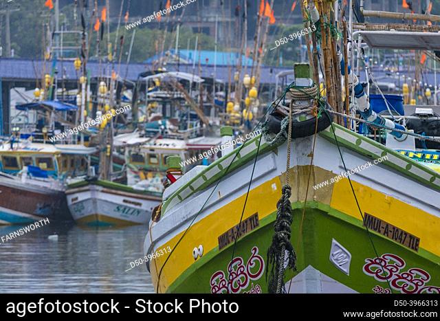 Kudawella Harbor, Sri Lanka Colorful fishing boats in the Kudawella harbour