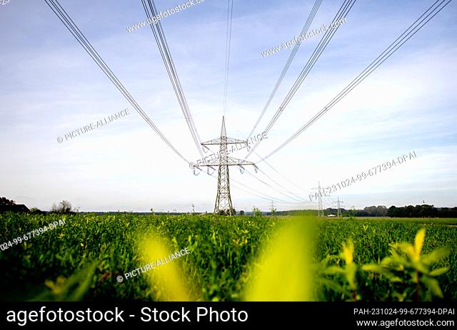 PRODUCTION - 23 October 2023, Lower Saxony, Winkelsett: A high-voltage power line runs across a field in the Oldenburg district in sunny weather
