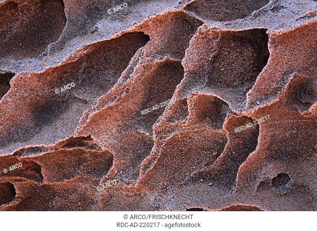 Detail of Sand Stone formations, Paria Sandhills, Vermillion Cliffs, Arizona, USA