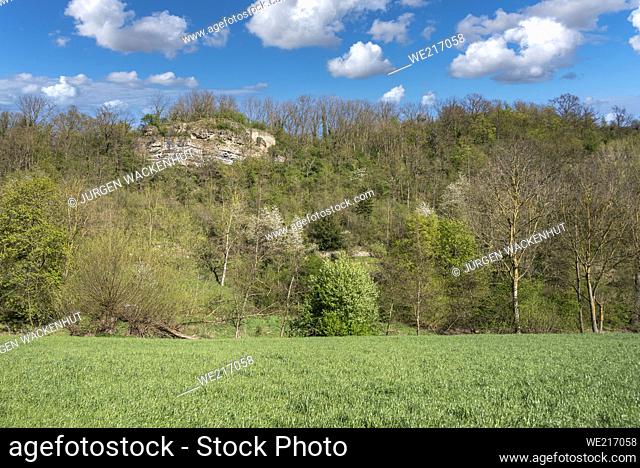 Landscape with the Felsengarten nature reserve on the Enz loop nearby Muhlhausen on the Enz. Muhlhausen on the Enz is located in Kraichgau in Baden-Wurttemberg...