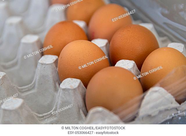 Close up of brown hen eggs in a cardboard carton