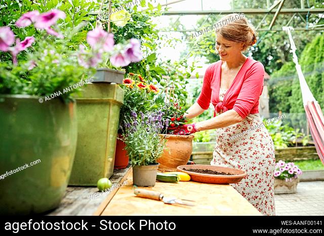 Smiling mature woman doing plantation at backyard