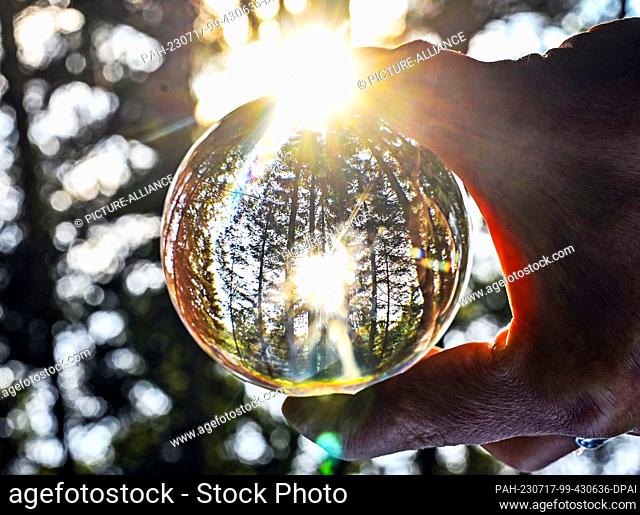 PRODUCTION - 17 July 2023, Baden-Württemberg, Seebach: Trees of the Black Forest National Park are reflected through a glass sphere held in the hand (shot...